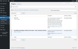 Page screenshot: Plugins ‹ Test site — WordPress