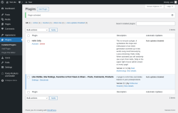 Page screenshot: Plugins ‹ Test site — WordPress
