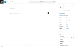 Page screenshot: Add Post ‹ Test site — WordPress
