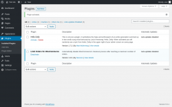 Page screenshot: Plugins ‹ Test site — WordPress
