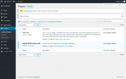 Page screenshot: Plugins &lsaquo; Test site &mdash; WordPress