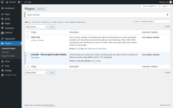 Page screenshot: Plugins &lsaquo; Test site &mdash; WordPress