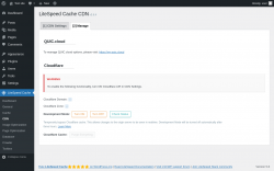 Page screenshot: LiteSpeed Cache → CDN → Manage