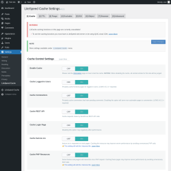 Page screenshot: Settings &rarr; LiteSpeed Cache