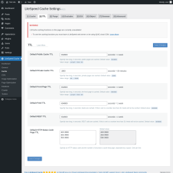 Page screenshot: LiteSpeed Cache &rarr; Cache &rarr; TTL