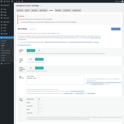 Page screenshot: LiteSpeed Cache &rarr; Cache &rarr; ESI