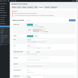 Page screenshot: LiteSpeed Cache &rarr; Cache &rarr; Object