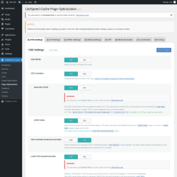 Page screenshot: LiteSpeed Cache &rarr; Page Optimization