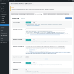 Page screenshot: LiteSpeed Cache &rarr; Page Optimization &rarr; Media Settings