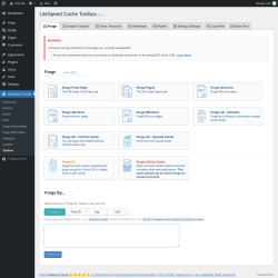 Page screenshot: LiteSpeed Cache &rarr; Toolbox