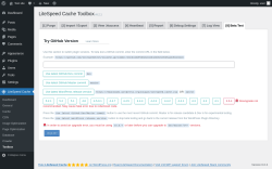 Page screenshot: LiteSpeed Cache &rarr; Toolbox &rarr; Beta Test