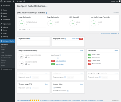 Page screenshot: LiteSpeed Cache