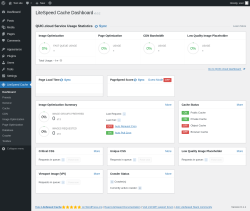 Page screenshot: LiteSpeed Cache