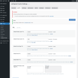 Page screenshot: Settings &rarr; LiteSpeed Cache &rarr; TTL
