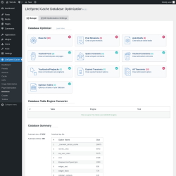 Page screenshot: LiteSpeed Cache &rarr; Database