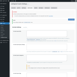 Page screenshot: Settings &rarr; LiteSpeed Cache &rarr; Excludes