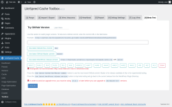 Page screenshot: LiteSpeed Cache &rarr; Toolbox &rarr; Beta Test