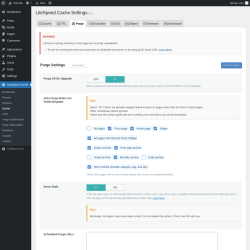 Page screenshot: LiteSpeed Cache &rarr; Cache &rarr; Purge