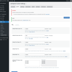 Page screenshot: Settings &rarr; LiteSpeed Cache &rarr; TTL