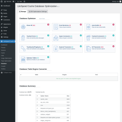 Page screenshot: LiteSpeed Cache &rarr; Database