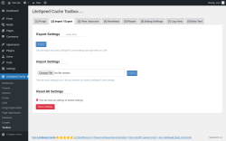 Page screenshot: LiteSpeed Cache &rarr; Toolbox &rarr; Import / Export