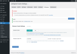 Page screenshot: Settings &rarr; LiteSpeed Cache &rarr; Browser