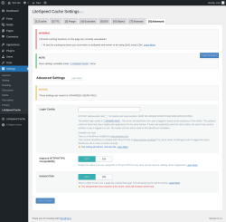 Page screenshot: Settings &rarr; LiteSpeed Cache &rarr; Advanced