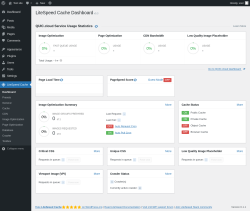 Page screenshot: LiteSpeed Cache