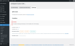Page screenshot: LiteSpeed Cache &rarr; CDN &rarr; Manage