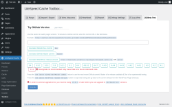 Page screenshot: LiteSpeed Cache &rarr; Toolbox &rarr; Beta Test