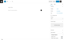 Page screenshot: Add New Page &lsaquo; Test site &mdash; WordPress
