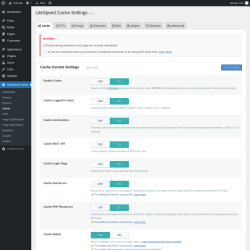 Page screenshot: LiteSpeed Cache &rarr; Cache