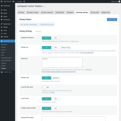 Page screenshot: LiteSpeed Cache &rarr; Toolbox &rarr; Debug Settings