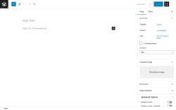 Page screenshot: Add New Page &lsaquo; Test site &mdash; WordPress