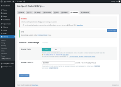 Page screenshot: Settings &rarr; LiteSpeed Cache &rarr; Browser