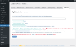 Page screenshot: LiteSpeed Cache &rarr; Toolbox &rarr; Beta Test