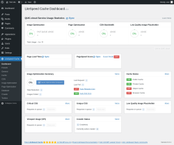 Page screenshot: LiteSpeed Cache