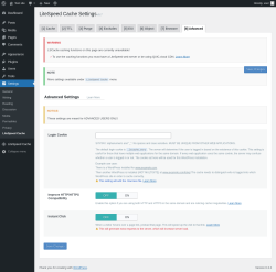 Page screenshot: Settings &rarr; LiteSpeed Cache &rarr; Advanced