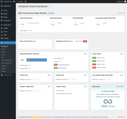Page screenshot: LiteSpeed Cache