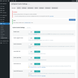 Page screenshot: Settings &rarr; LiteSpeed Cache
