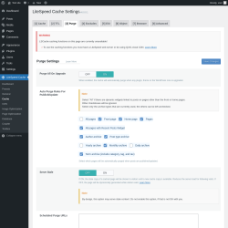 Page screenshot: LiteSpeed Cache &rarr; Cache &rarr; Purge
