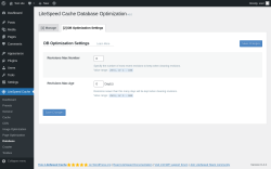 Page screenshot: LiteSpeed Cache &rarr; Database &rarr; DB Optimization Settings