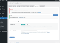 Page screenshot: Settings &rarr; LiteSpeed Cache &rarr; Browser