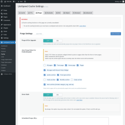 Page screenshot: LiteSpeed Cache → Cache → Purge