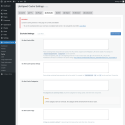 Page screenshot: LiteSpeed Cache → Cache → Excludes