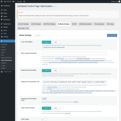Page screenshot: LiteSpeed Cache → Page Optimization → Media Settings