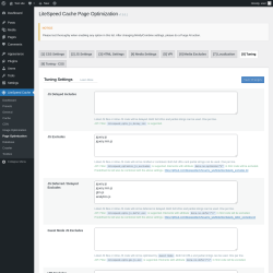 Page screenshot: LiteSpeed Cache → Page Optimization → Tuning