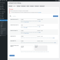 Page screenshot: LiteSpeed Cache → Cache → TTL
