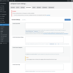 Page screenshot: LiteSpeed Cache → Cache → Excludes