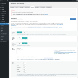 Page screenshot: LiteSpeed Cache → Cache → ESI